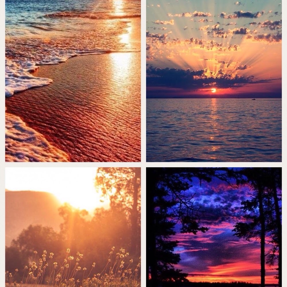 Meet your Posher, Flowermij